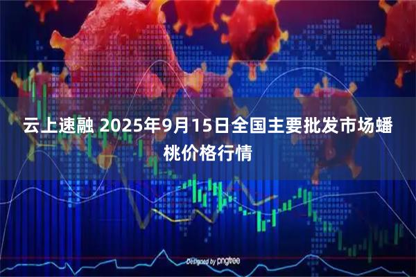 云上速融 2025年9月15日全国主要批发市场蟠桃价格行情