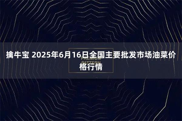 擒牛宝 2025年6月16日全国主要批发市场油菜价格行情