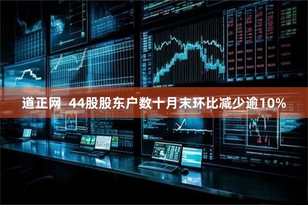 道正网  44股股东户数十月末环比减少逾10%