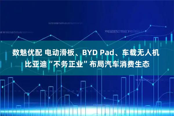 数魅优配 电动滑板、BYD Pad、车载无人机 比亚迪“不务正业”布局汽车消费生态