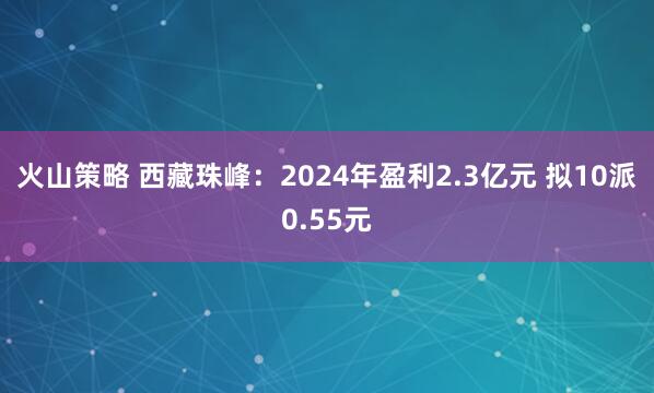 火山策略 西藏珠峰：2024年盈利2.3亿元 拟10派0.55元
