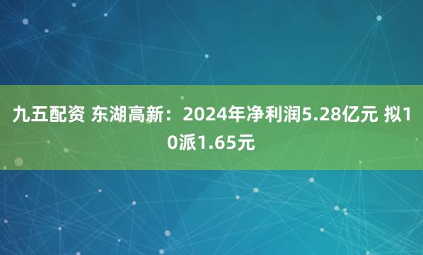 九五配资 东湖高新：2024年净利润5.28亿元 拟10派1.65元
