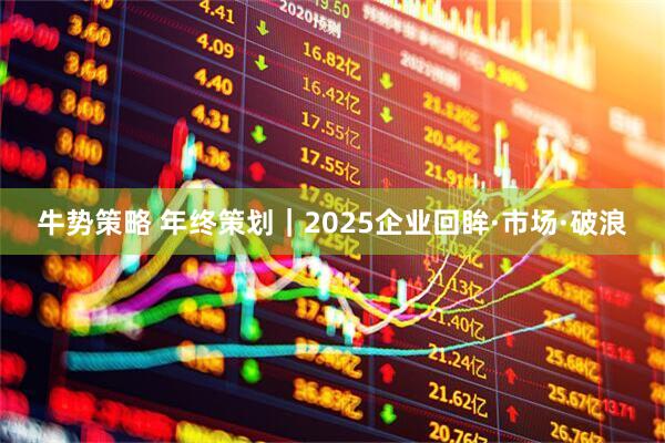 牛势策略 年终策划｜2025企业回眸·市场·破浪