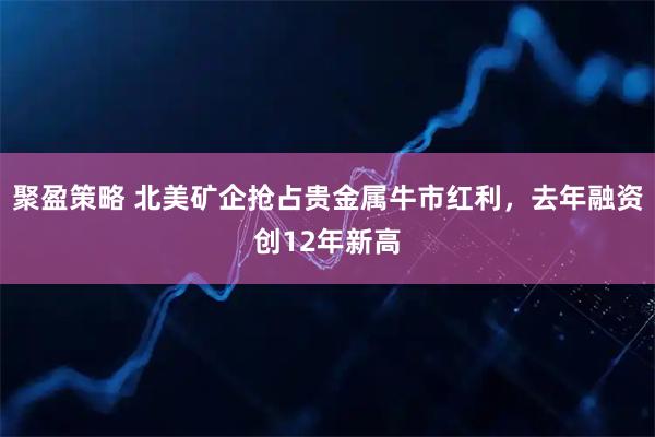 聚盈策略 北美矿企抢占贵金属牛市红利，去年融资创12年新高