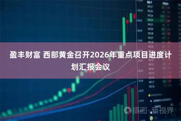 盈丰财富 西部黄金召开2026年重点项目进度计划汇报会议