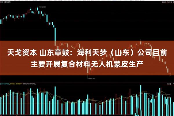 天戈资本 山东章鼓：海利天梦（山东）公司目前主要开展复合材料无人机蒙皮生产