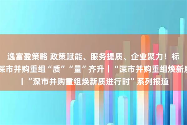 逸富盈策略 政策赋能、服务提质、企业聚力！标杆项目密集落地，深市并购重组“质”“量”齐升丨“深市并购重组焕新质进行时”系列报道