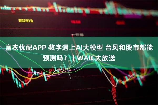 富农优配APP 数字遇上AI大模型 台风和股市都能预测吗？丨WAIC大放送