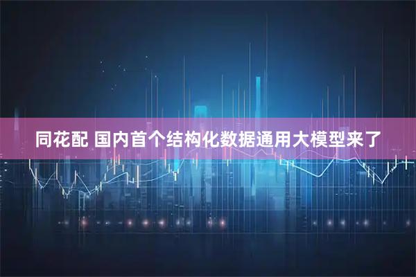 同花配 国内首个结构化数据通用大模型来了