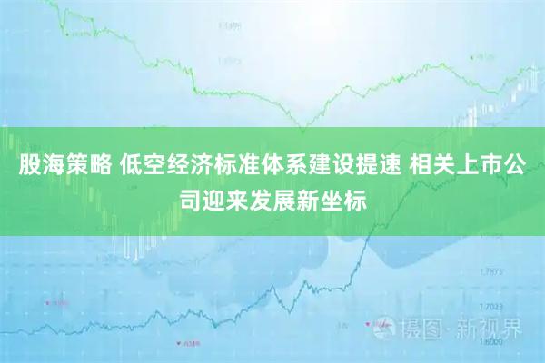 股海策略 低空经济标准体系建设提速 相关上市公司迎来发展新坐标